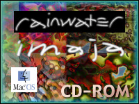 Rainwater - imaja - greg jalbert